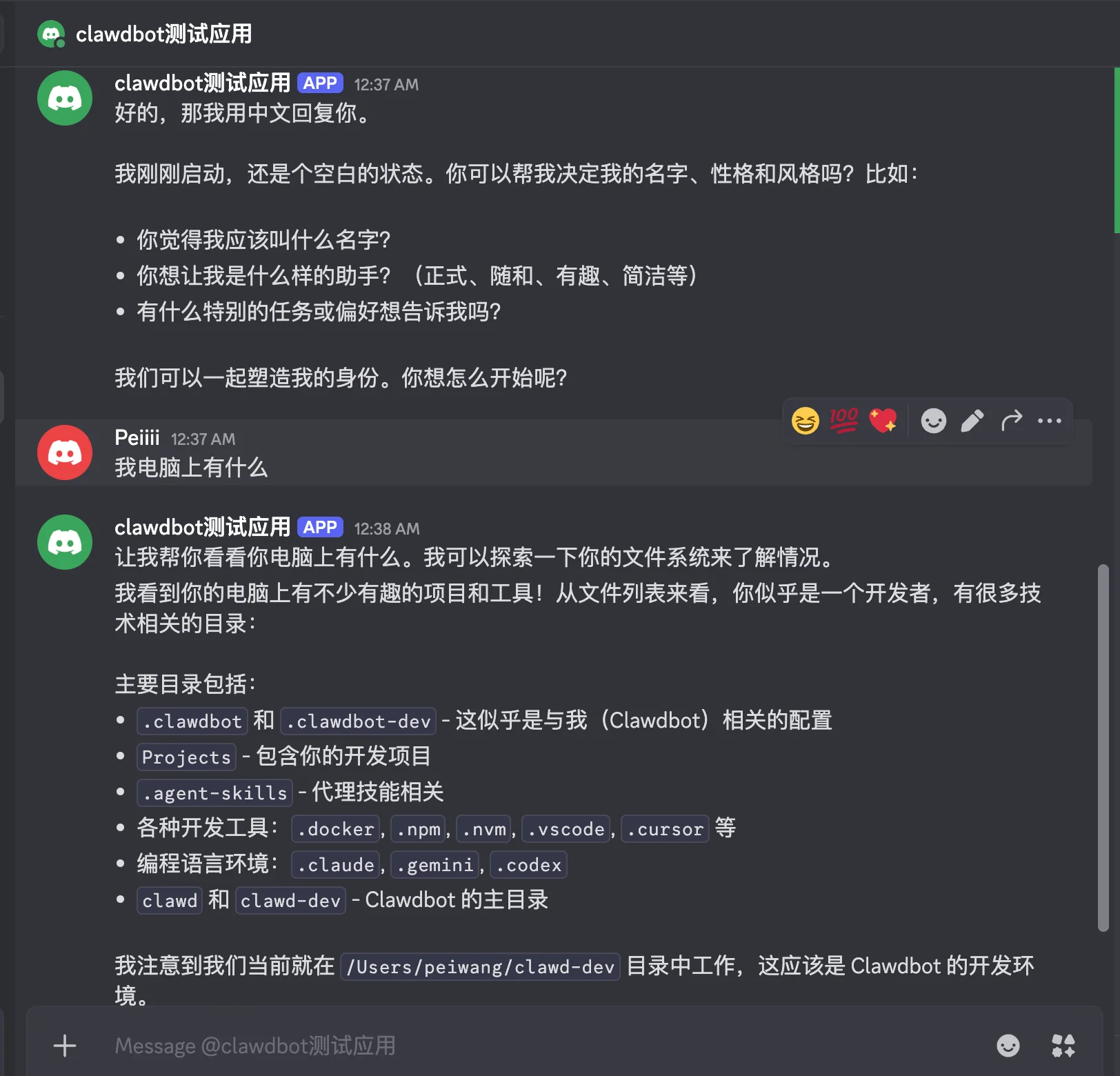 Discord中Clawdbot探索用户文件系统
