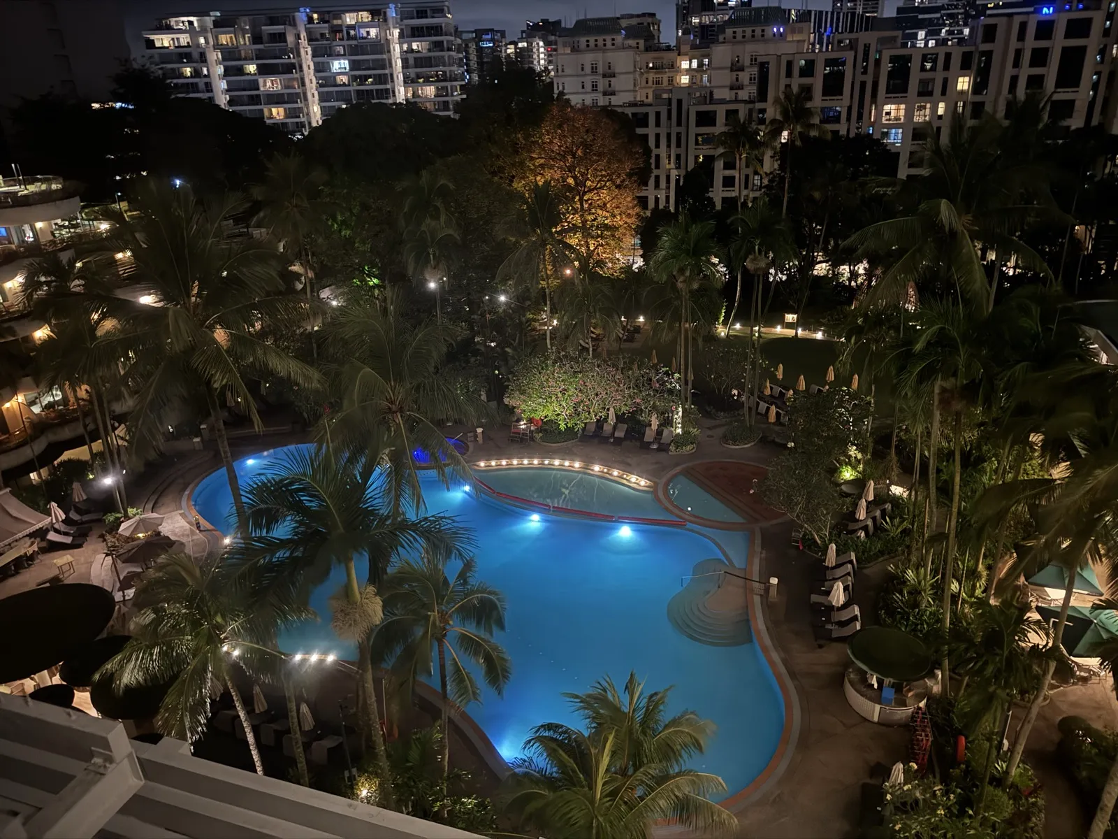 除夕夜的宁静：新加坡夜色中的热带花园