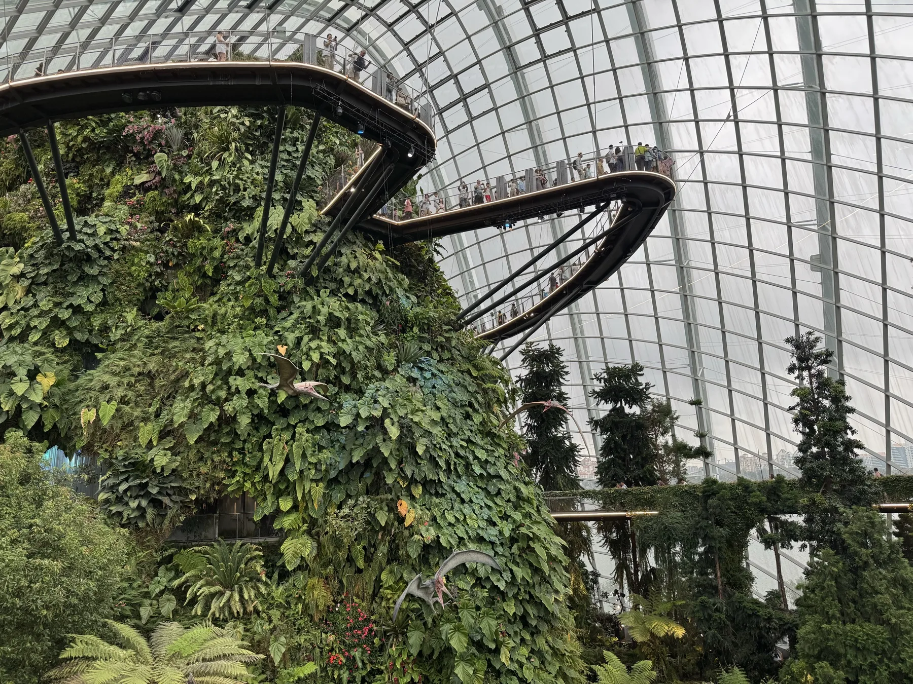 云雾林内部高位步道与垂直山体