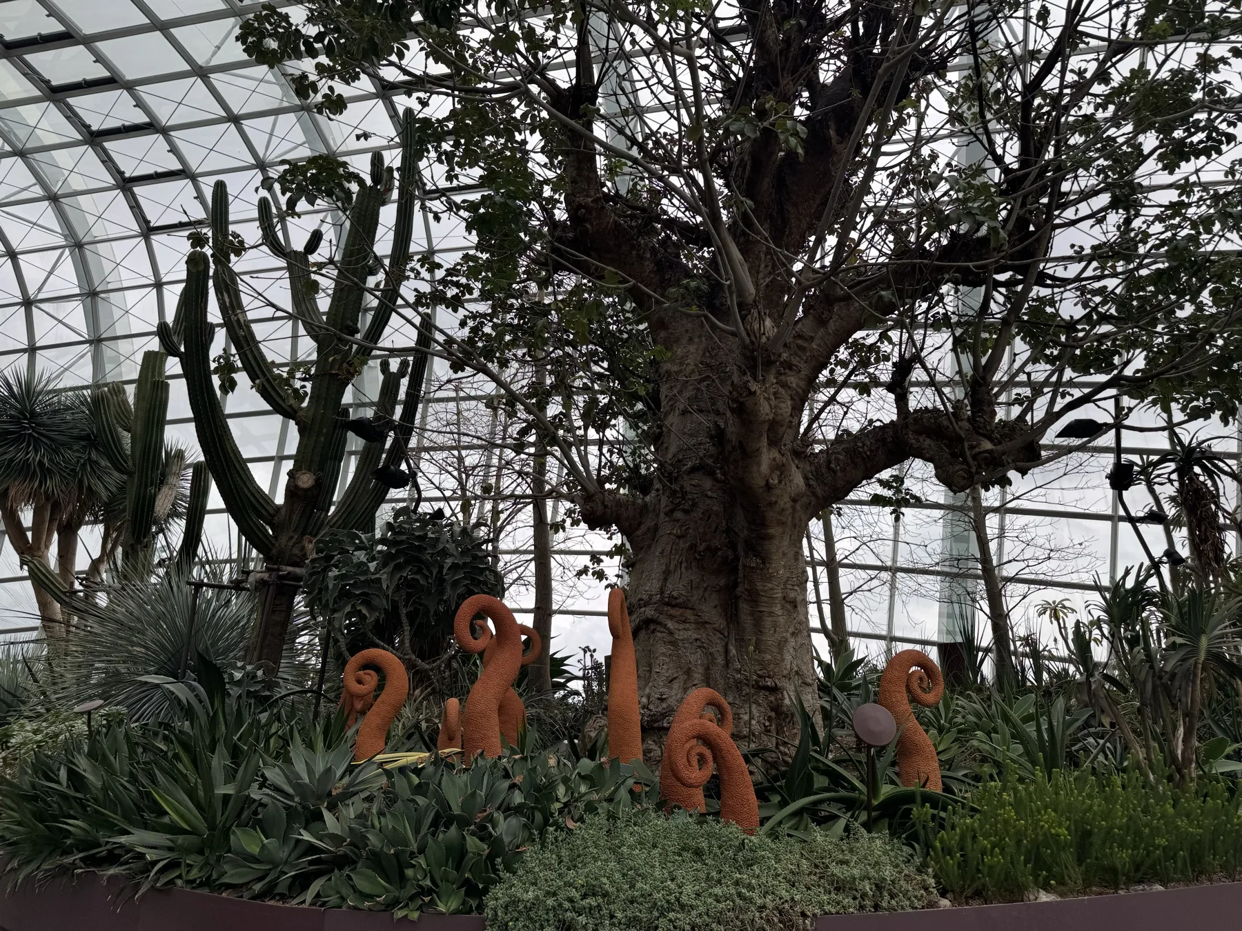 花穹内部：大尺度植物与穹顶结构