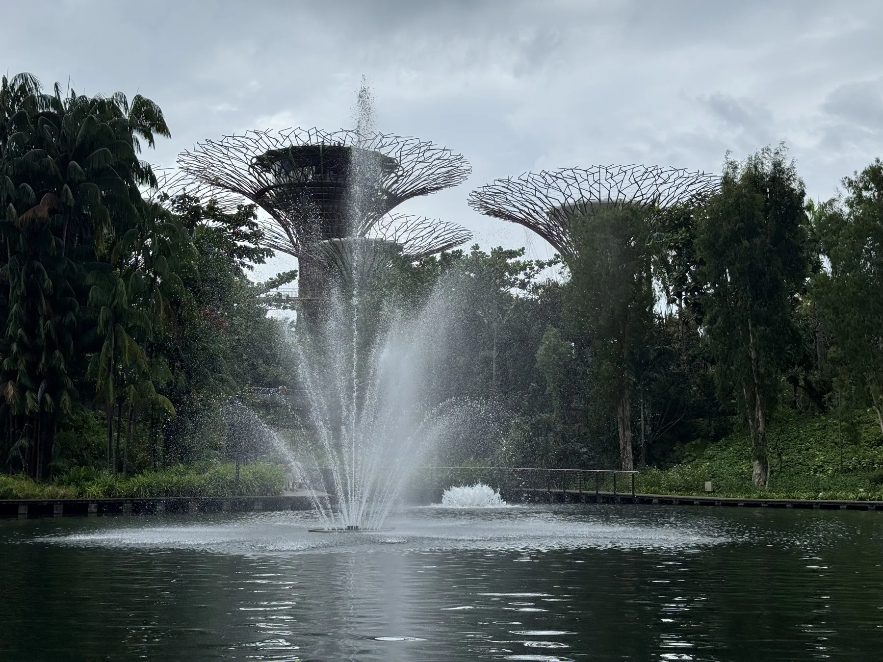 滨海湾花园外围的 Supertree 与水景过渡区